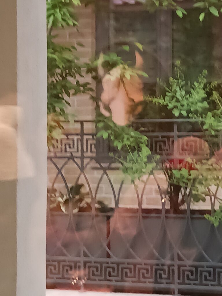A reflection in the window of the painting